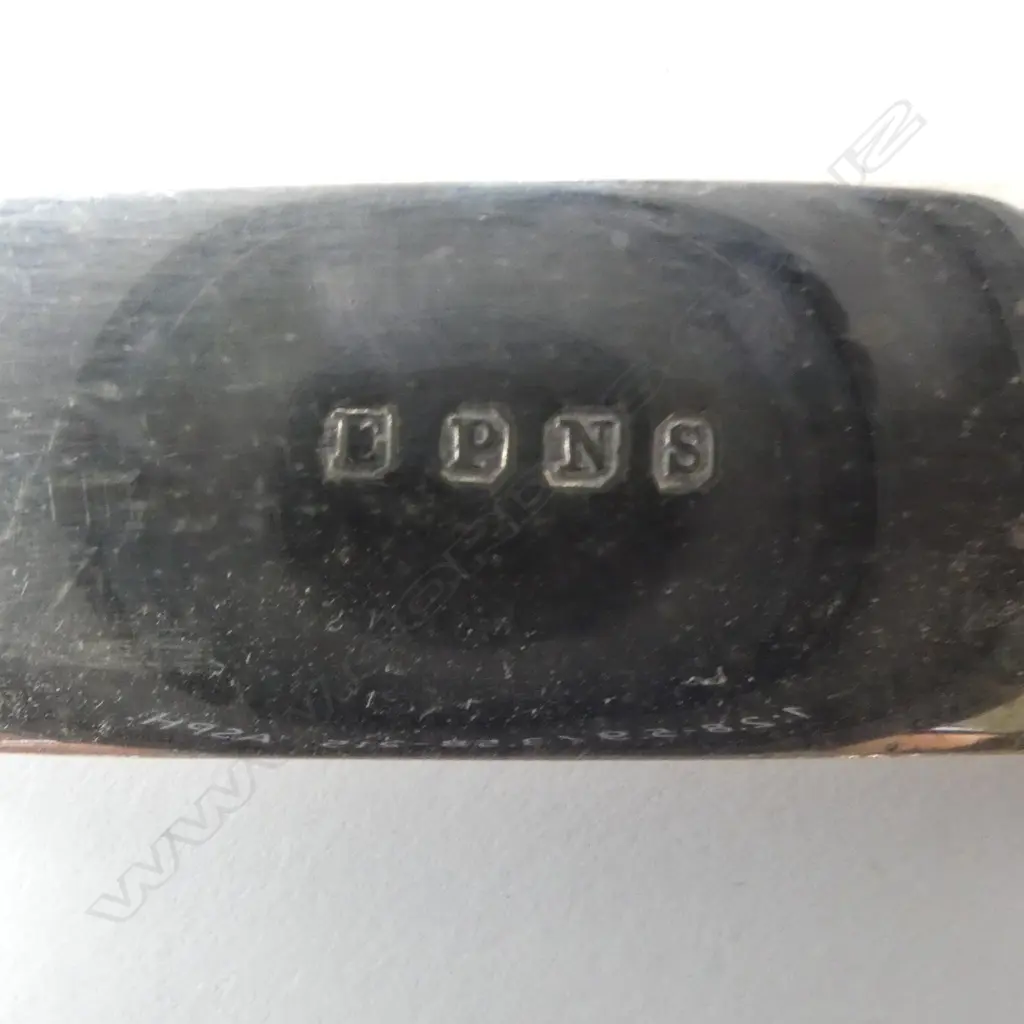 19thC SILVER PLATE & MOP FUIT CUTLERY SET  Image 1++