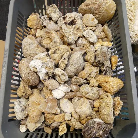 ASST. KAURI GUM NUGGETS 2.2kg