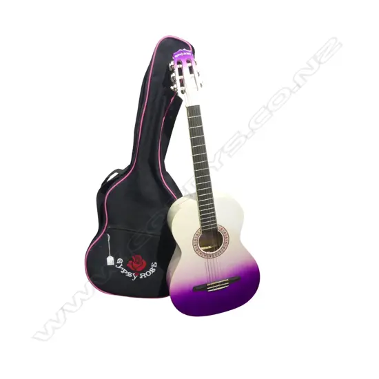 'GYPSY ROSE' ACOUSTIC GUITAR L.960mm + CASE