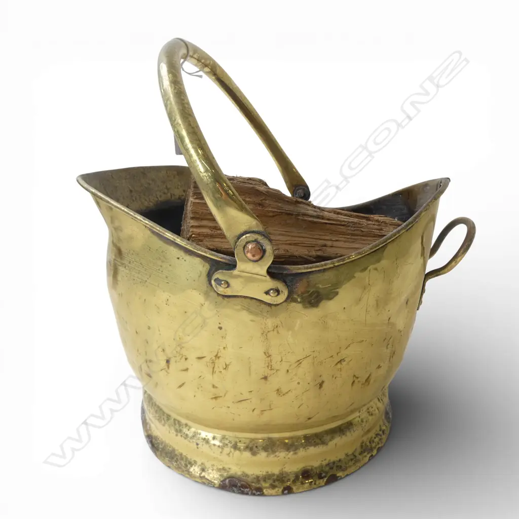 BRASS COAL BUCKET + PINECONES Image 1++