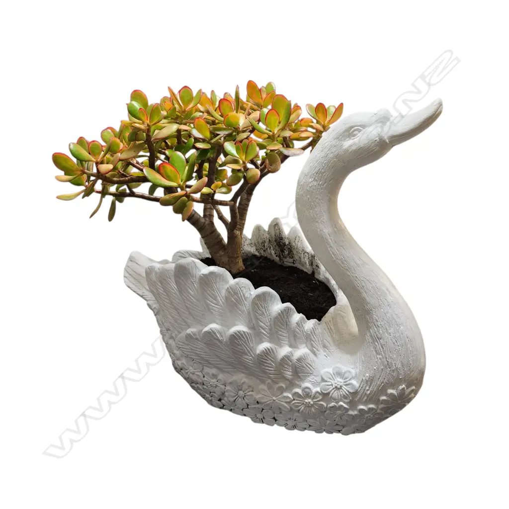 WHITE SWAN-SHAPED FIBERGLASS PLANTER WITH A JADE PLANT Image 1++