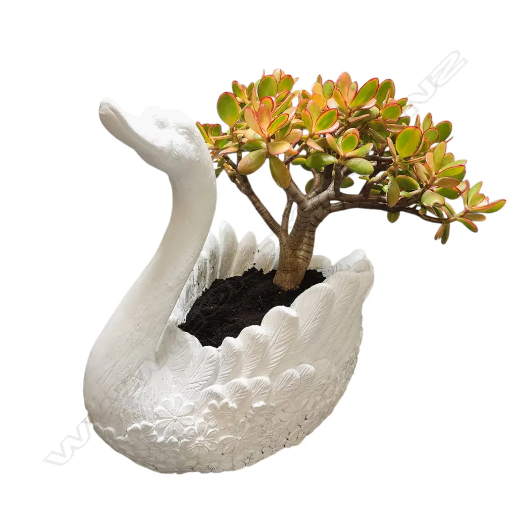 WHITE SWAN-SHAPED FIBERGLASS PLANTER WITH A JADE PLANT Image 1++