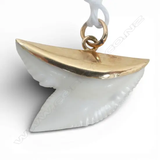 18ct GOLD TOPPED SHARK'S TOOTH PENDANT, 1.17gm