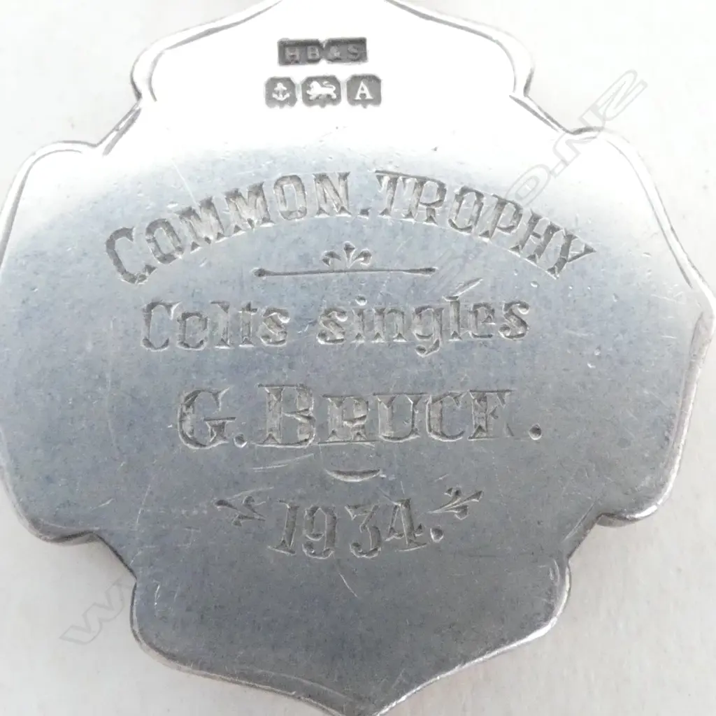 9ct GOLD & STG SILVER FOB MEDALLION, BRIMINGHAM 1925, 14.08gms Image 1++