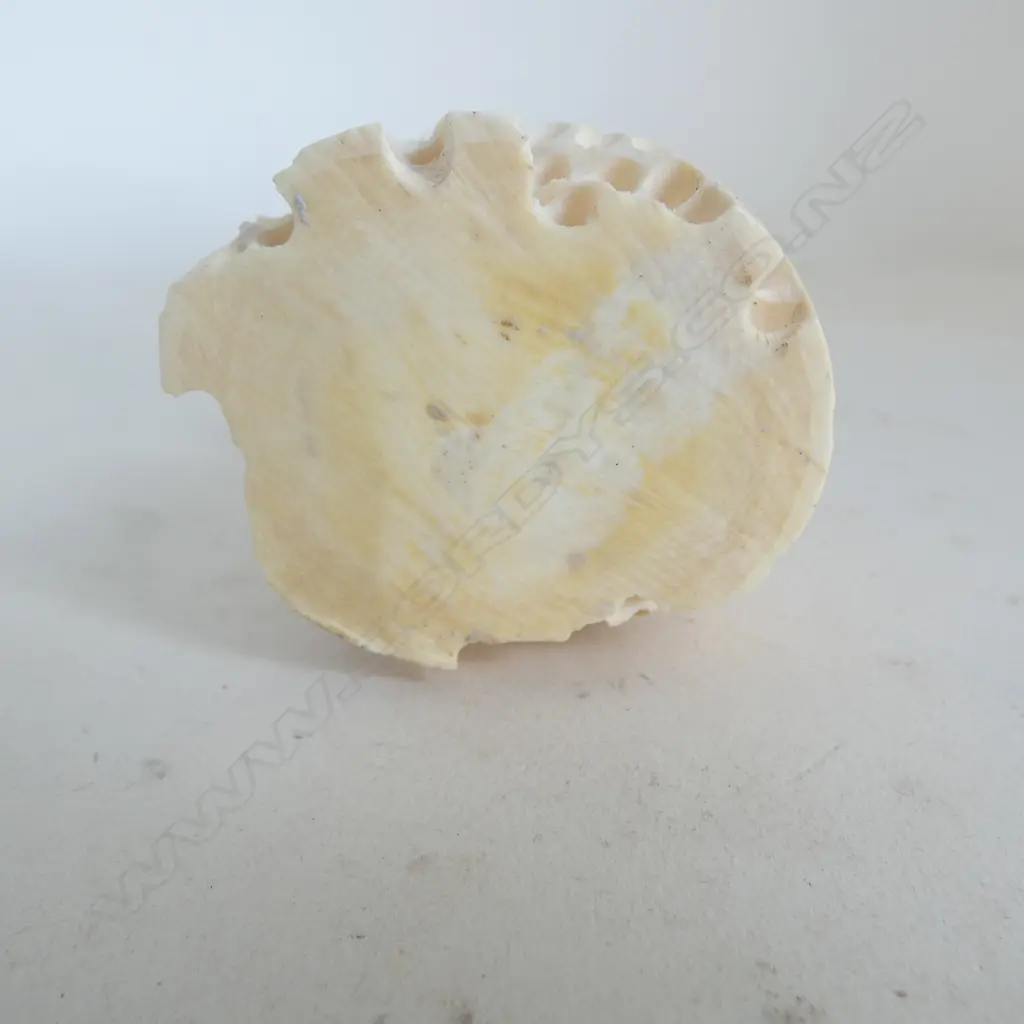 ORIENTAL IVORY FIGURE CARRYING FISH H.300mm Image 1++