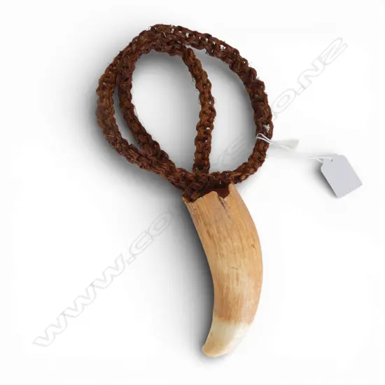 FIJIAN WHALE TOOTH TABUA ON FIBRE PLAITED CORD L.120mm