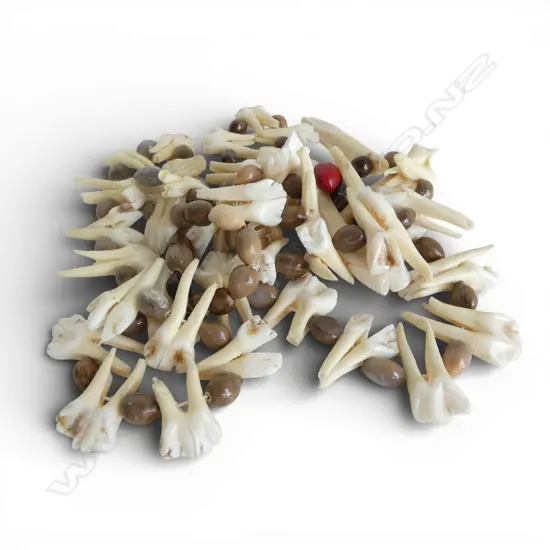 ETHNIC TRIBAL NECKLACE w TEETH & SHELL