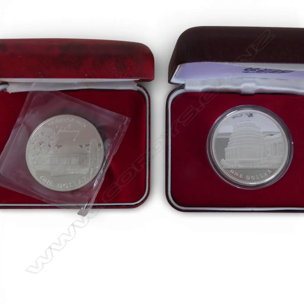 2 N.Z. SILVER COINS; 1978 PARLIAMENT $1 .925 COIN + 1977 WAITANGI DAY $1 .925 COIN 55.48gms  Image 1++