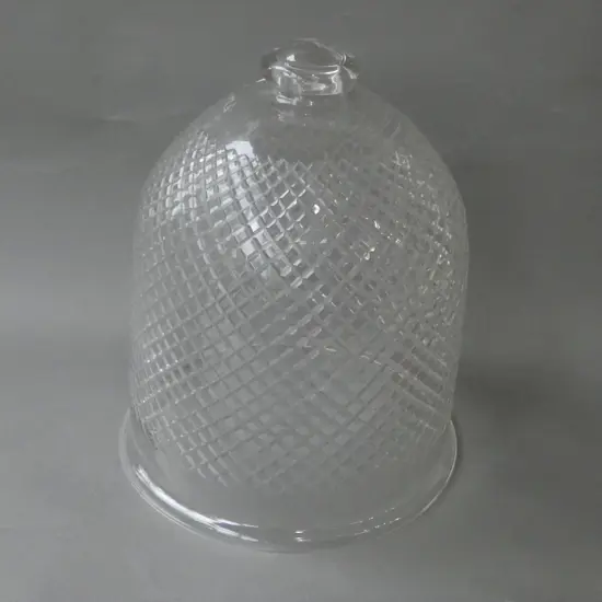 LG GLASS CLOCHE H.320mm