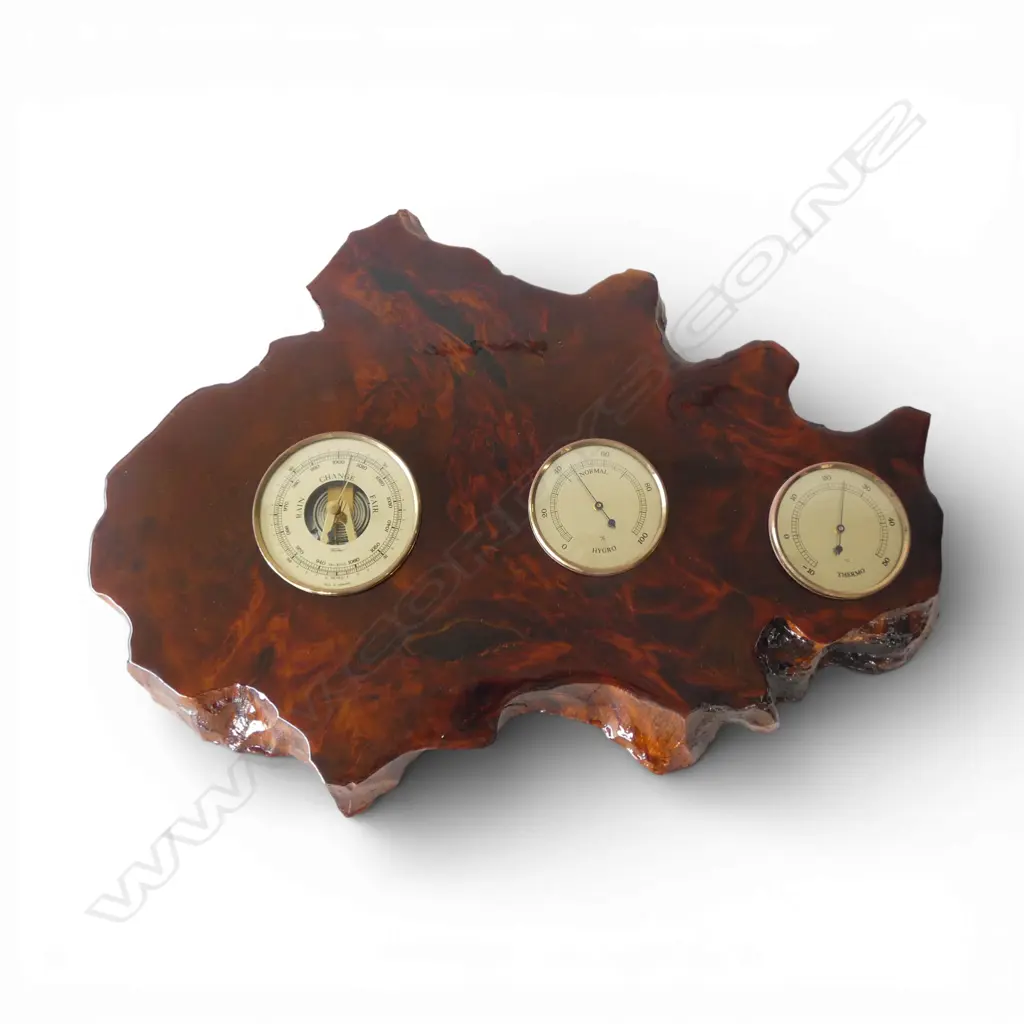 SWAMP KAURI TRIPPLE GAUGE DISPLAY W.555mm Image 1++