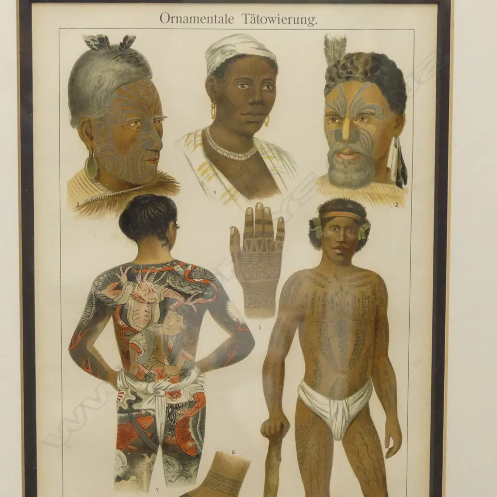 FRAMED CHROMOLITHOGRAPH 'Ornamentale Taowierung' of various tattoos 220 x 150mm Maori + Japanese etc. Framed  Image 1++