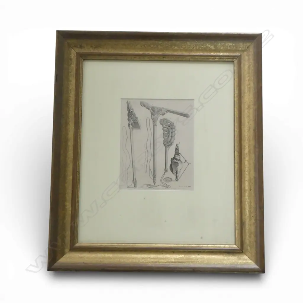 SPECIMENS OF NEW ZEALAND FROM COOKS VOYAGE, WILLIAM STRAHAN LONDON 1777 No. XIX, 225x180mm Image 1++