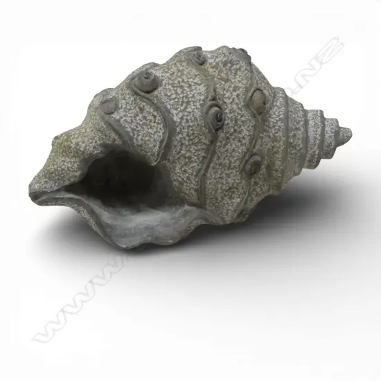 GREY CONCRETE CONCH SHELL, W.200mm, H.400mm