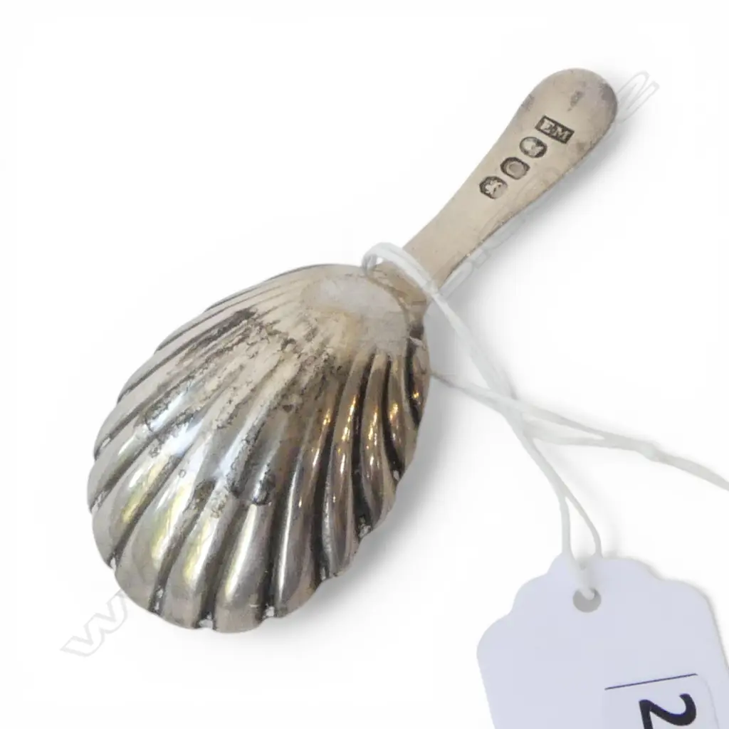 GEORGE III STG SILVER TEA CADDY SPOON by ELIZABETH MORELY, LONDON 1809, 7.96gms scallop shell embossed bowl Image 1++