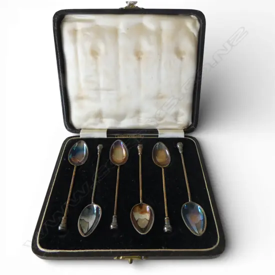 CASED SET OF 6 20thC ENGLISH STG SILVER & ENAMEL SPOONS 62gms