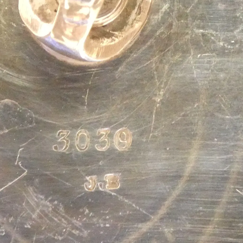 2 EP MEAT COVERS L310MM LONGEST Image 1++