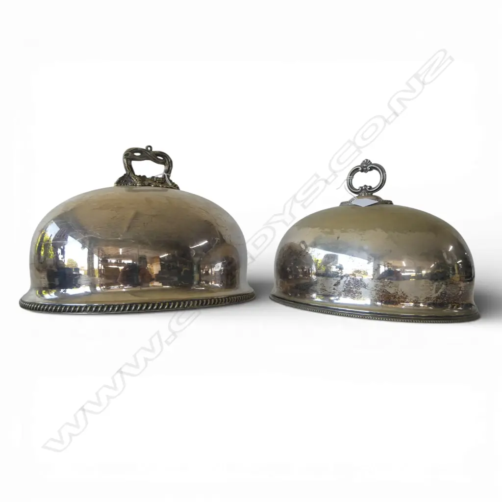 2 EP MEAT COVERS L310MM LONGEST Image 1++