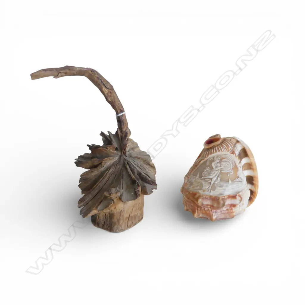 Dactylanthus (wood rose) specimen H.200mm + carved CAMEO SHELL lamp shade no fittings Image 1++