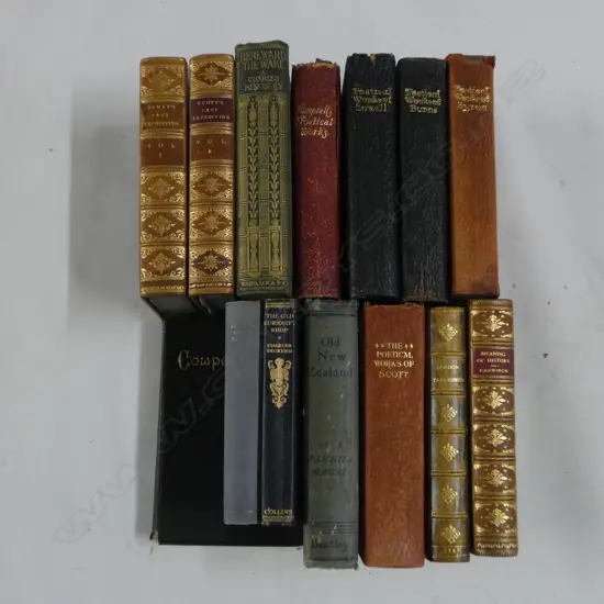 COLLECTION OLD BOOKS: decorative leather bindings + 'Old New Zealand' + 'Scott's Last Expedition' Vols 1 & 2 etc