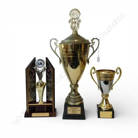 3X NZ STOCKCAR TROPHIES TALLEST H750mm