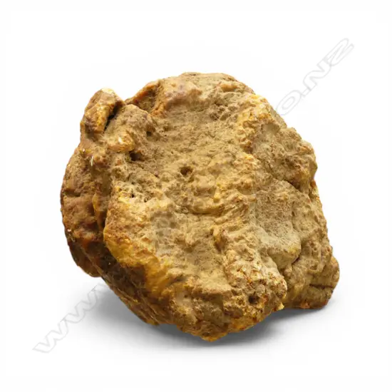 LARGE KAURI GUM NUGGET unpolished W.180mm. 1.4kgs