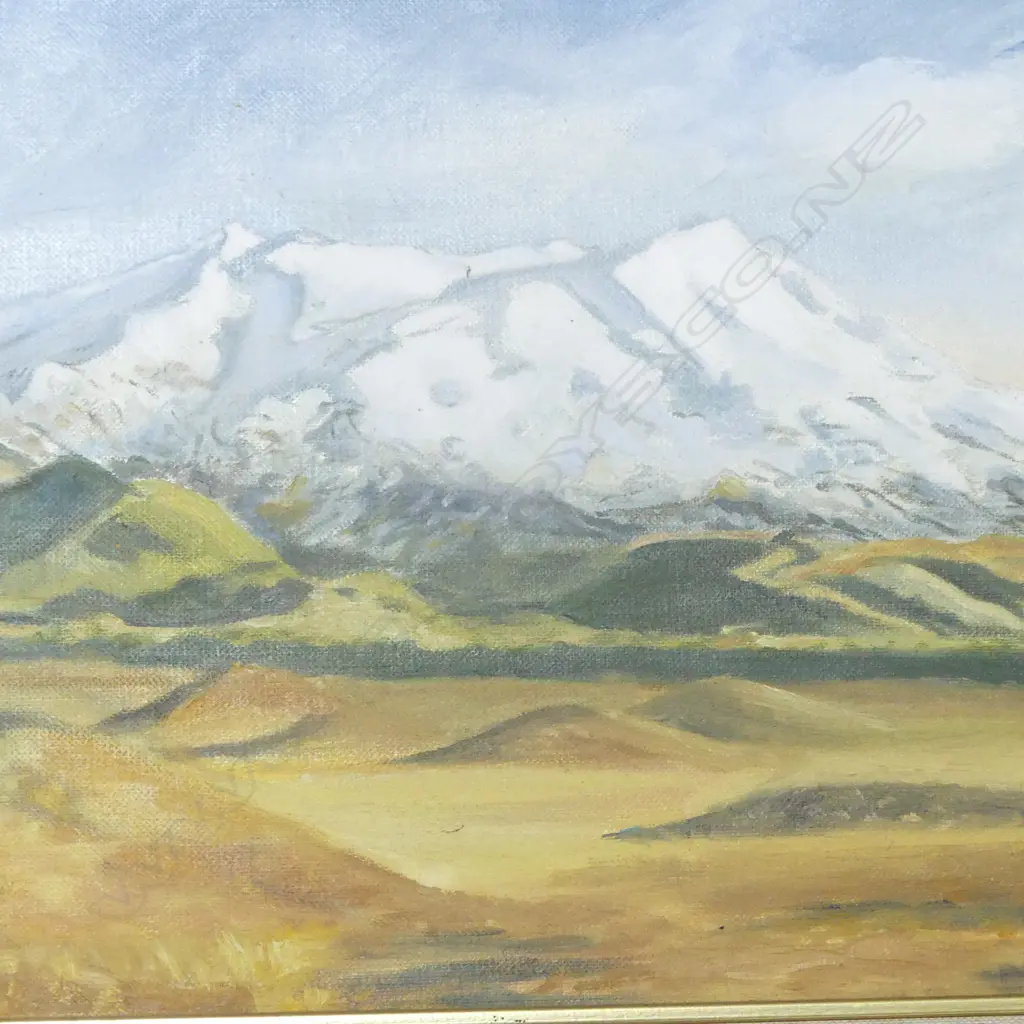 PR OILS ON BOARD RUAPEHU & MT NGAURUHOE H320 W400MM Image 1++