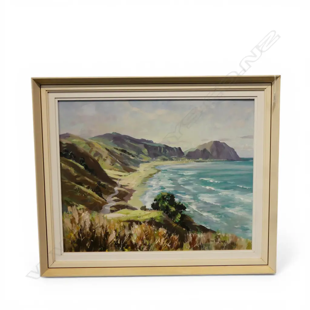 PETER WILLIAMS 'MAKARORI BEACH, GISBORNE' OIL ON BOARD 590x740mm Image 1++
