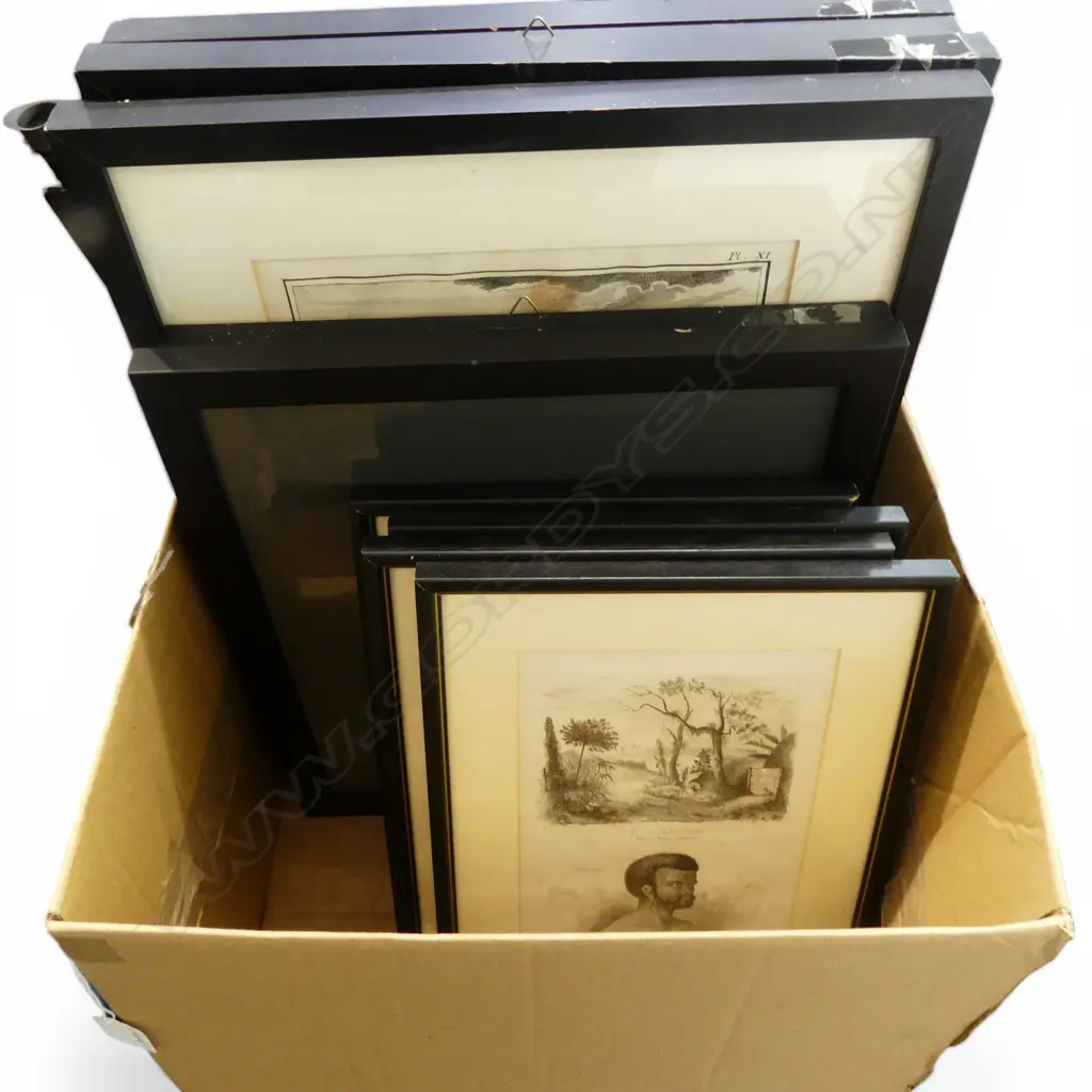 ASST. PRINTS INCL. 4 HISTORIE NATURELLE 470x340mm, NEW CALEDONIA ETC Image 1++