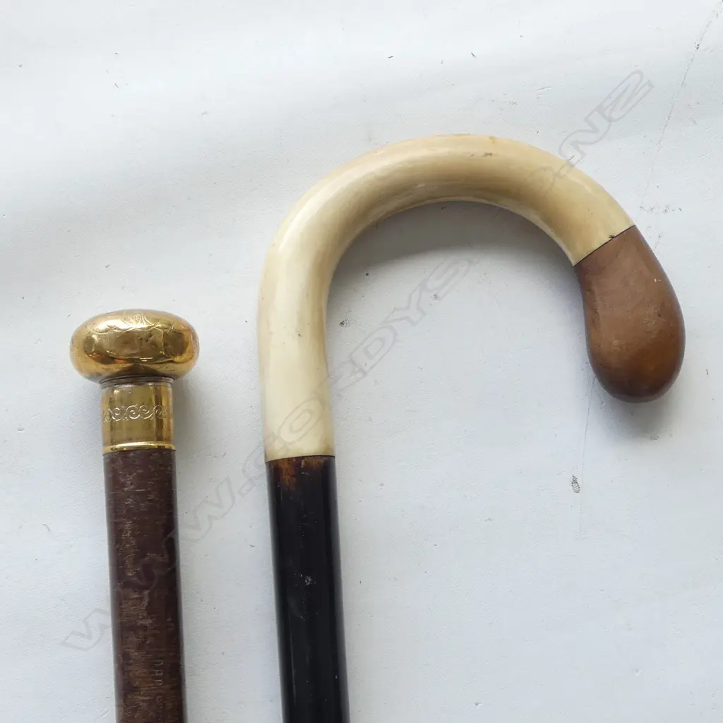 2 VINTAGE WALKING STICKS, HORN HANDLED & BRASS TOPPED Image 1++
