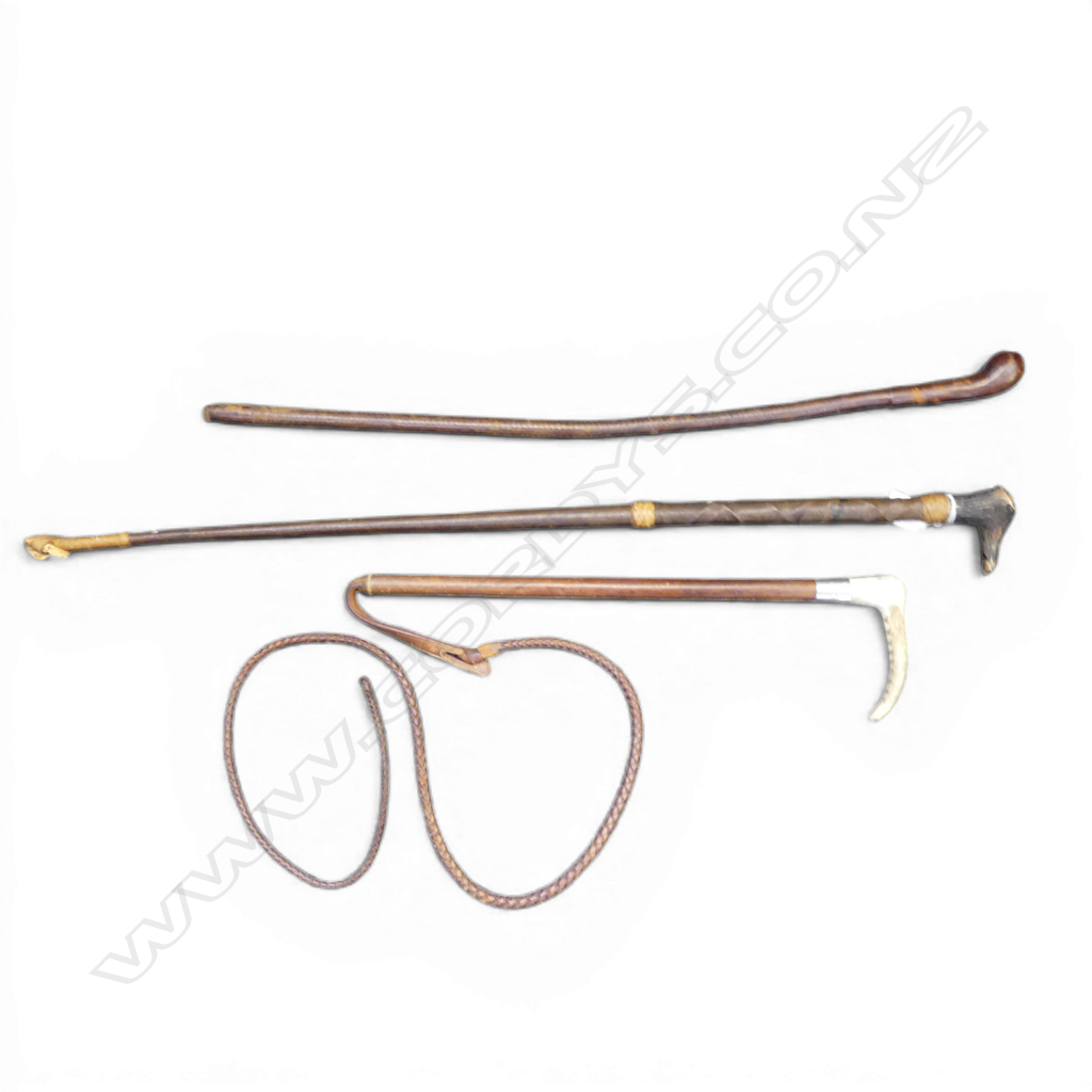 3 RIDING CROPS L.790mm Image 1++