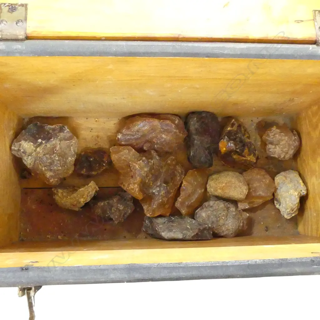 ASST. KAURI GUM PIECES IN WOODEN CRATE W.535mm Image 1++