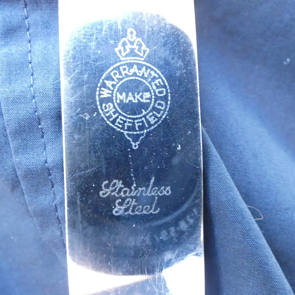 12 VINTAGE CASEIN HANDLED TABLE KNIVES Image 1++