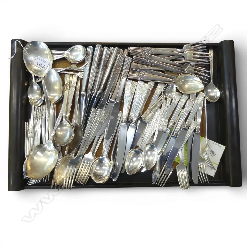 TRAY W.545mm w. EP CUTLERY Image 1++