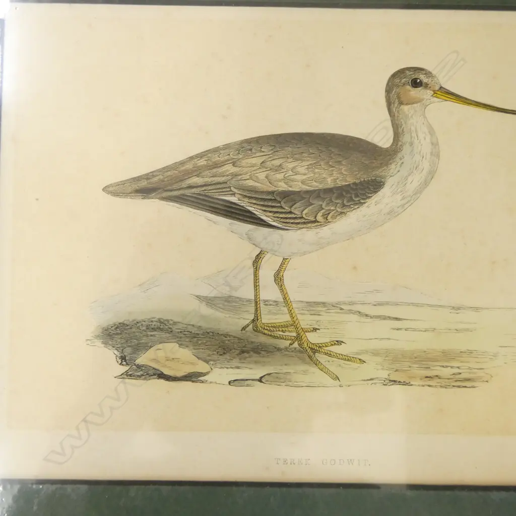 HODGES PRINT HAS TORN L.H CORNER Image 1++