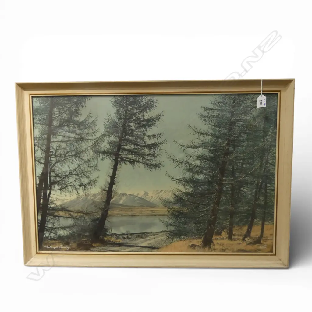 WHITES AVIATION MACKENZIE COUNTRY, SIGNED & TITLED 500x750mm Image 1++