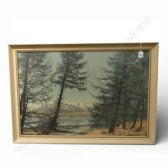 WHITES AVIATION MACKENZIE COUNTRY, SIGNED & TITLED 500x750mm