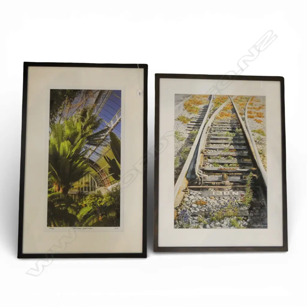 2 DECORATIVE PRINTS, WINTER GARDENS AUCKLAND & TRAIN TRACKS, 610x330mm Image 1++