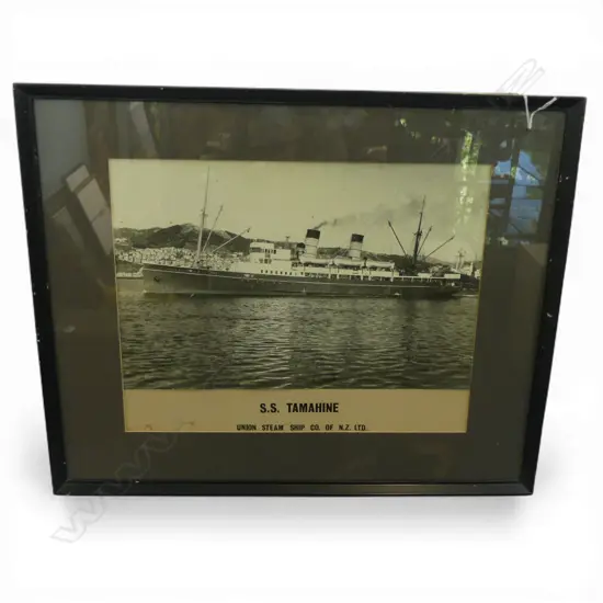 FRAMED PHOTOGRAPH S.S. TAMAHINE 265x340mm