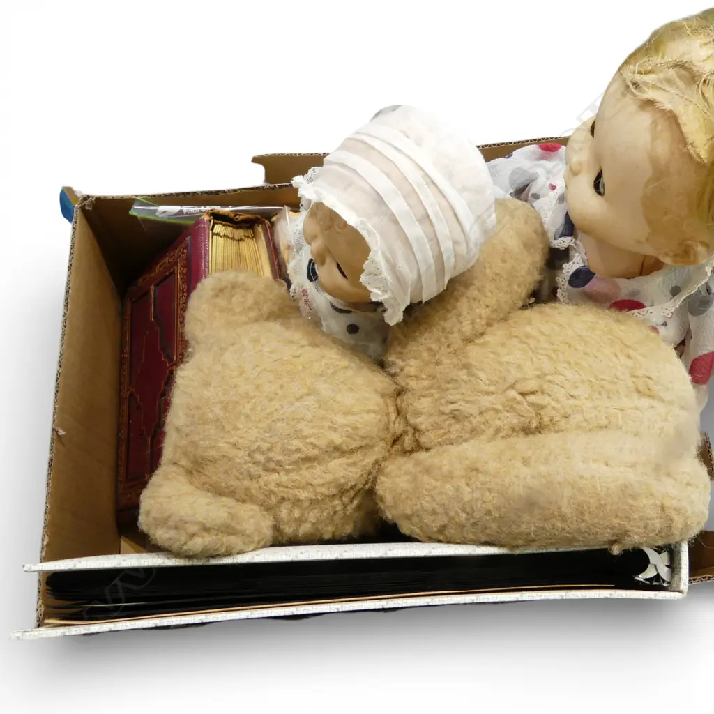 ASST. VINTAGE; PHOTO ALBUMS, POSTCARDS, DECIMAL COIN PACK, 2 DOLLS & TEDDYBEAR Image 1++