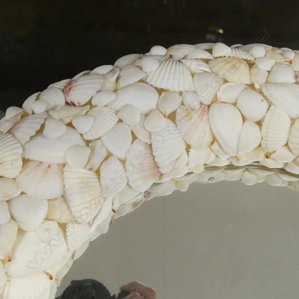 SHELL CIRCLE MIRROR Dia.510mm Image 1++
