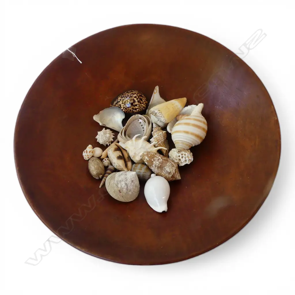 LG WOODEN BOWL 490mm dia + ASST. SHELLS Image 1++