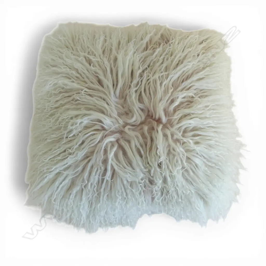 AQUA GOAT CUSHION (FADED) Image 1++