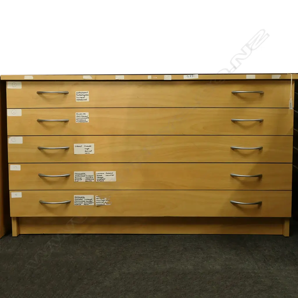 5 DRAWER PLAN CABINET 1000x740x570mm Image 1++