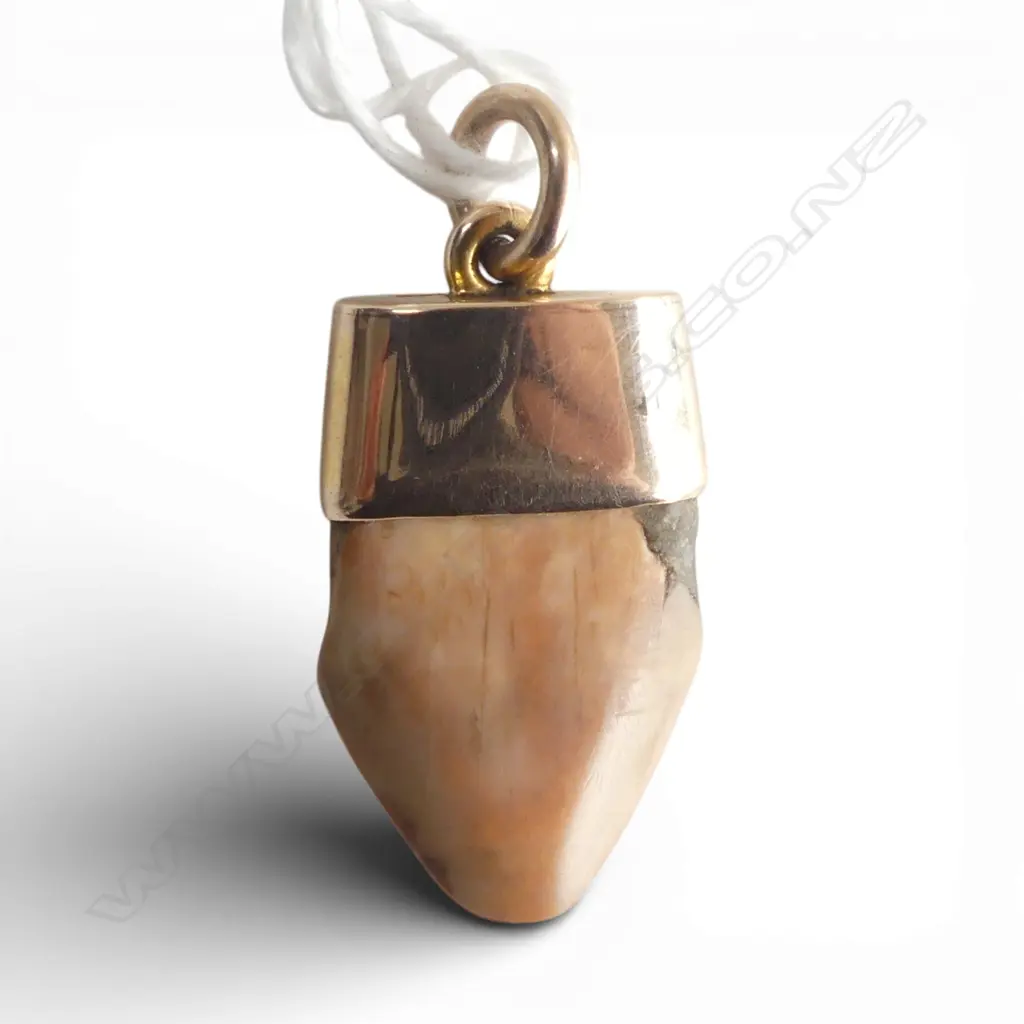 9ct PETRIFIED TOOTH FOB PENDANT, 5.70gm Image 1++