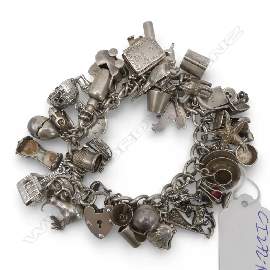 SILVER MULTI CHARM BRACELET skull scallop book kangaroo opening egg kiwi etc 112gms Image 1++
