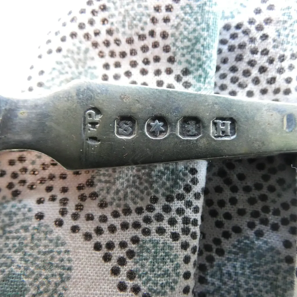 VICTORIAN S/P  FISH KNIFE AND FORK, PLUS SET OF SMALLER FORKS ALL WITH MOP HANDLES Image 1++