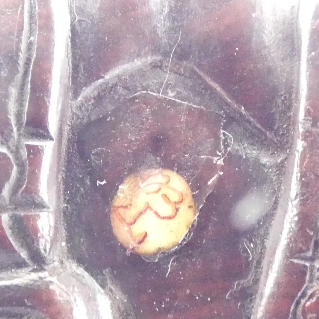 3 CARVED JAPANESE NETSUKE OF ANIMALS, SIGNED, COW, BIG CAT & 2 USAGI, L.40mm Image 1++