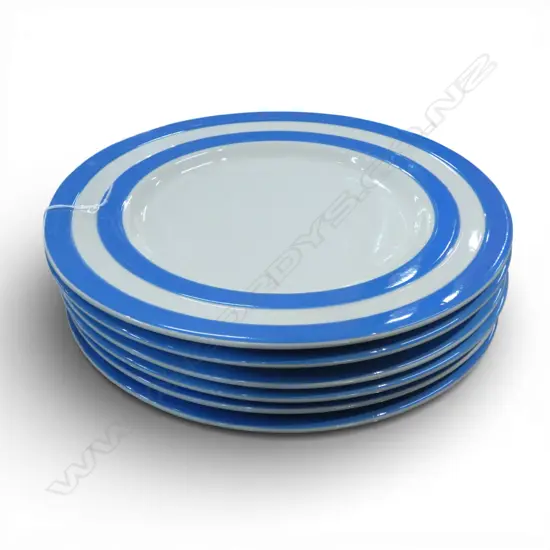 6 LG CORNISH WARE PLATES Dia.305mm
