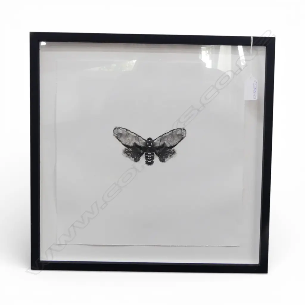 JOHN PUSATERI, MOTH, UNTITLED & UNSIGNED PRINT, 290x290mm Image 1++