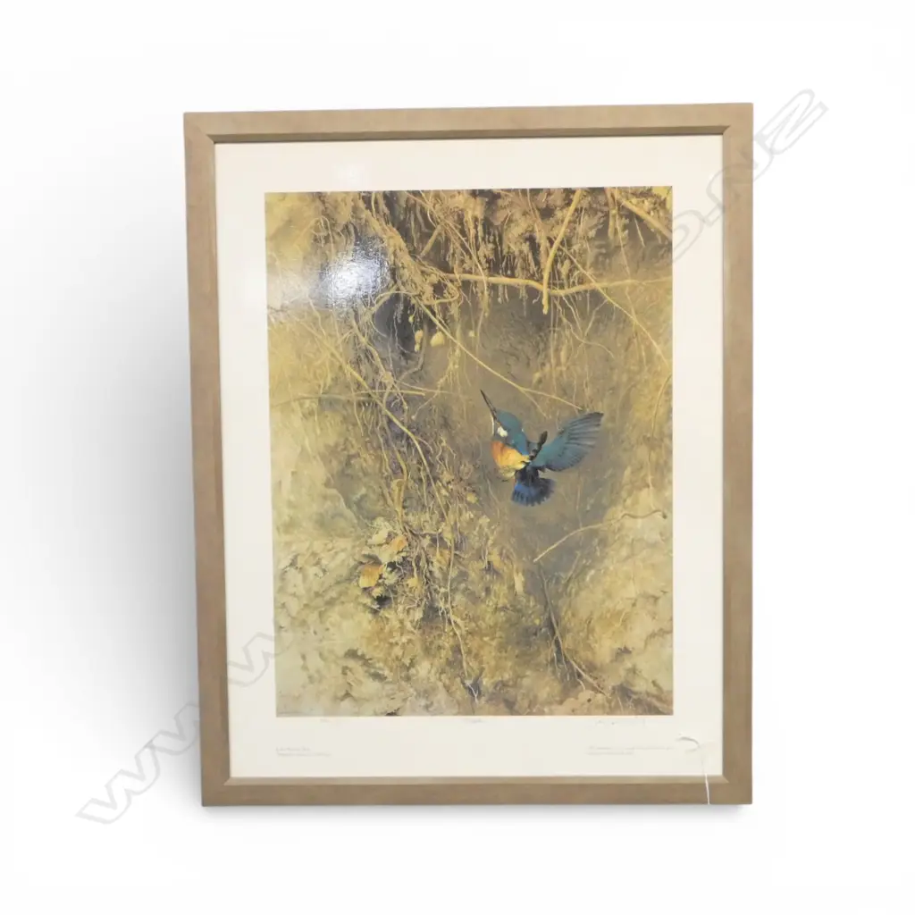 RAYMOND CHING KINGFISHER PRINT 760x595mm Image 1++
